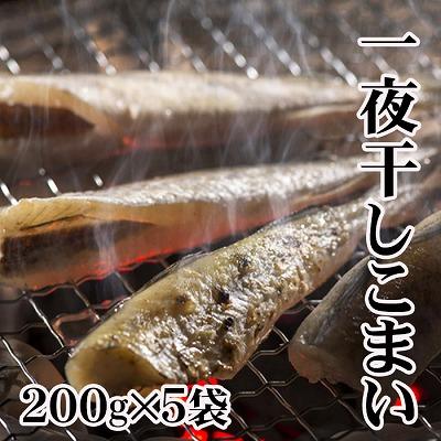 ふるさと納税 根室市 【北海道根室産】一夜干しこまい200g×5袋 A-70012