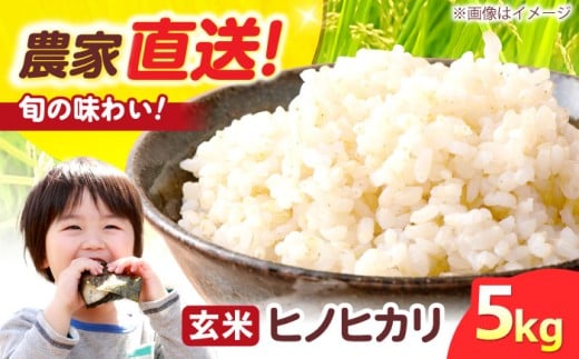 R7年度産 ヒノヒカリ 玄米 5キロ 5kg お米 米 コメ こめ おこめ ごはん ご飯 玄米 げんまい 人気 おすすめ 大阪府高槻市/高槻あぐり [AOCS031]