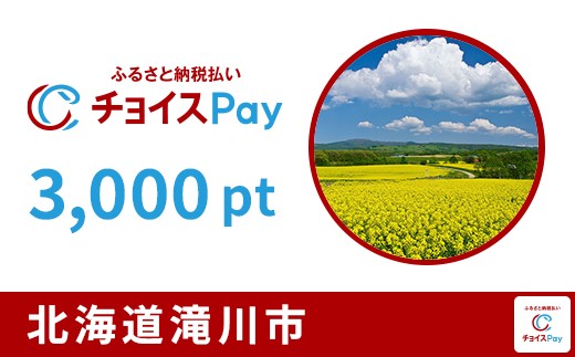 
                  滝川市チョイスPay 3,000pt【会員限定のお礼の品】
                
