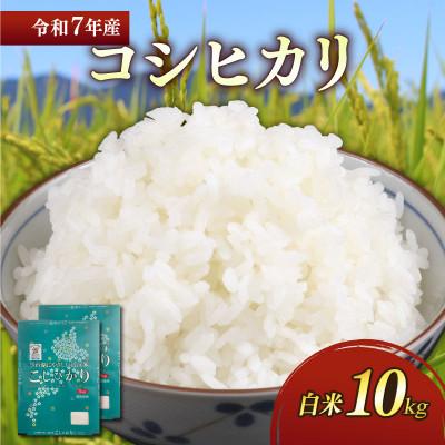 ふるさと納税 彦根市 令和7年産新米コシヒカリ白米10kg(5kg×2袋) 粘り、甘み、香りの絶妙なバランス