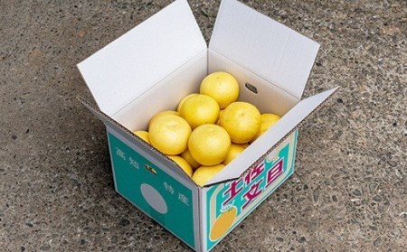 楽木工房 土佐文旦 10kg 家庭用 L・2L 文旦［1513‐2]