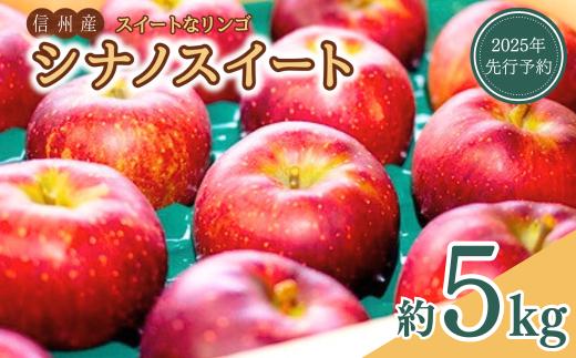 【2025年先行予約】スイートなりんご シナノスイート 約5kg｜ 林檎 信州りんご 千曲市 長野県 