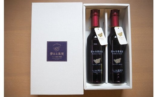 ＜有機栽培ブルーベリー使用＞夢みる果実ブルーベリー酒　300ml×2本 ふるさと納税 ブルーベリー ブルーベリージュース アントシアニン 千葉県 木更津市 送料無料 KAA002