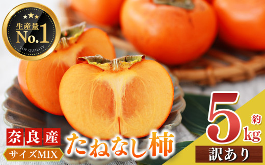 たねなし 柿 訳あり サイズ MIX 約 5kg | フルーツ くだもの 果物 柿 かき カキ タネなし 種なし 奈良県 五條市 果実 9月 10月 発送 秋 旬 味覚 グルメ お取り寄せ 送料無料 大容量 どっさり 農家直送 産地直送 ビタミン タンニン 食物繊維 豊富 美容 健康 特産品 甘い 柔らかい まろやか 田中農園 わけあり 訳アリ 自宅用 ご自宅用