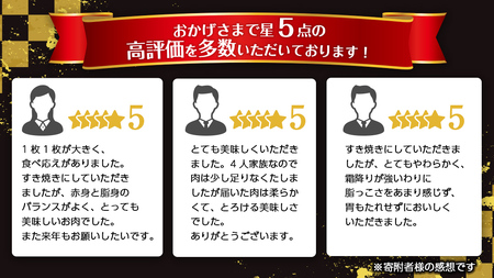 《定期便 全6回》【常陸牛】霜降り すきやき・しゃぶしゃぶ用 400g (茨城県共通返礼品) 牛 肉 すき焼き 国産牛 和牛 お肉 すき焼き肉 しゃぶしゃぶ A4 A5 ブランド牛 黒毛和牛 国産黒毛
