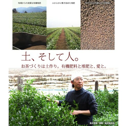 定期便 6ヶ月 お茶 煎茶 八女茶 100g×2袋 奥八女 星野村 深蒸し 高級 深蒸し 茶 星野茶 緑茶 6回 コース お楽しみ _イメージ4
