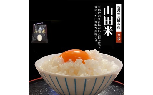 
                  【ファーム喜左ヱ門】令和7年産 山田米（玄米)　10kg
                