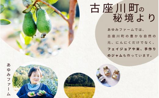 秘境の地からお届けする あゆみファームのご家庭用ジャンボにんにく 2kg【2025年7月下旬から順次発送】/ にんにく ニンニク ジャンボにんにく 予約受付 ガーリック 和歌山【aym010】