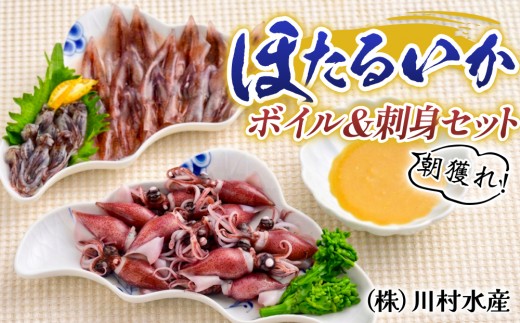 【先行予約】ほたるいか ボイル＆刺身セット 鶴瓶の家族に乾杯で放送5.13【27年3月中旬〜順次発送予定】【川村水産 ケンミンショー 冷蔵 ホタルイカ 蛍烏賊 朝どれ 朝獲れ おつまみ 珍味 海鮮 身投げ 富山 滑川市 すべらない街】