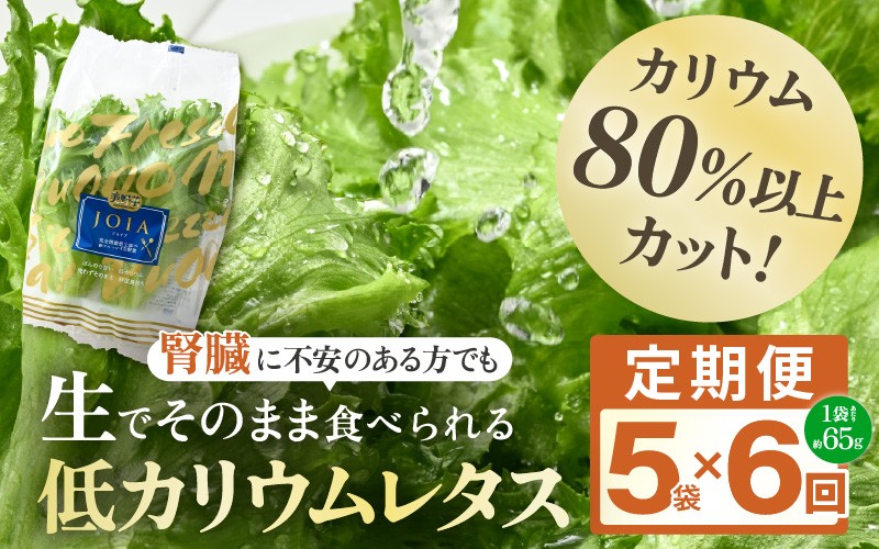 
                  定期便 ≪6ヶ月連続お届け≫ 【機能性×美味しさ】低カリウム水耕レタス JOIA（ジョイア） 約65g×5袋（栽培期間中農薬不使用・洗わず食べられる）　【野菜 生野菜 レタス サラダ お弁当 水耕栽培 洗わず食べられる 時短 付け合わせ】[m40-c003]
                