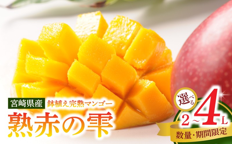 
                  《2026年発送》【サイズが選べる】【数量・期間限定】宮崎県産鉢植え完熟マンゴー 熟赤の雫(あかのしずく)｜マンゴー 宮崎マンゴー 完熟 完熟マンゴー 果物 くだもの デザート フルーツ 宮崎｜_M168-005-SKU
                