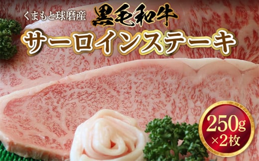 くまもと球磨産　黒毛和牛(サーロインステーキ　250g×2枚)