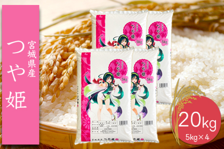 (06454)《精米》令和6年産 宮城県産つや姫20kg