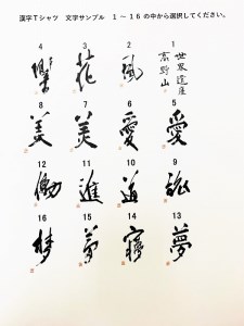 文化功労者 尾崎邑鵬 揮毫  漢字Tシャツ　XLサイズ（11.進）