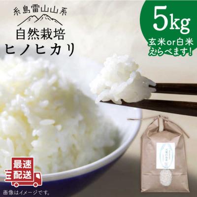 ふるさと納税 糸島市 自然栽培 ヒノヒカリ 5kg 糸島市/大石ファーム [ATE001]