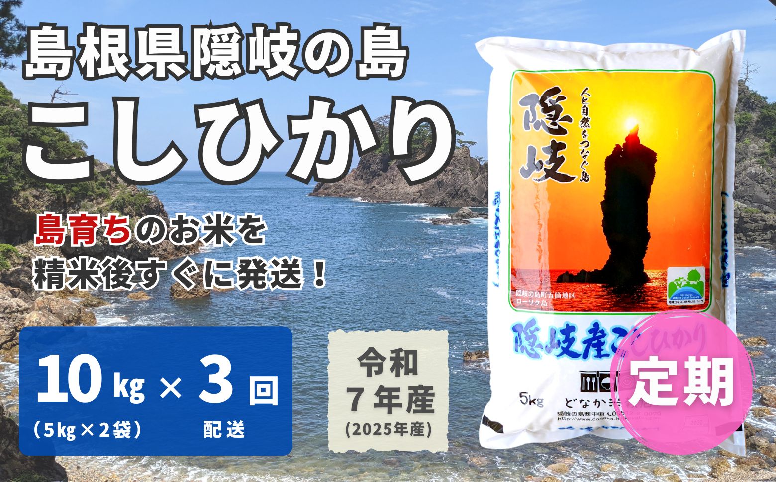 【ふるさと納税】【令和7年産】隠岐産 こしひかり 10kg（5kg×2袋）【毎月・3回配送】