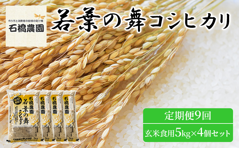 
米 若葉の舞 コシヒカリ 玄米食用5Kg×4個セット 定期便9回 こしひかり セット お米 玄米 千葉 千葉県 低温保存 [№5346-0904]
