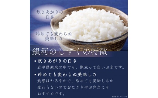 【 新米 】【12回定期便】お米 10kg (5kg×2) ( 総計120kg ) 白米 銀河のしずく 特A受賞 ★令和8年産★ 精米 米 おこめ ご飯 令和8年 特A 仕送り お弁当  5キロ 10