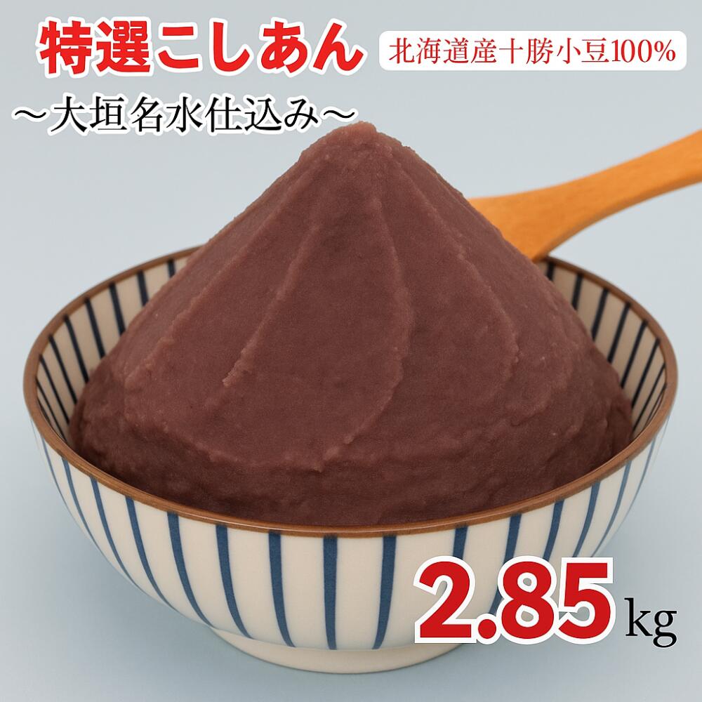 【ふるさと納税】 特選 こしあん 2.85kg 2850g 大垣名水 仕込み あんこ 餡子 お菓子 和菓子 おしるこ ぜんざい スイーツ 小豆 常温 10000円 1万 人気 ランキング 松下製餡所 岐阜県 大垣市