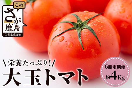 E-107　【先行予約】たにぐちファーム 大玉トマト 【4kg×6回定期便】【2023年12月から出荷】Ricotomato とりこになるトマト