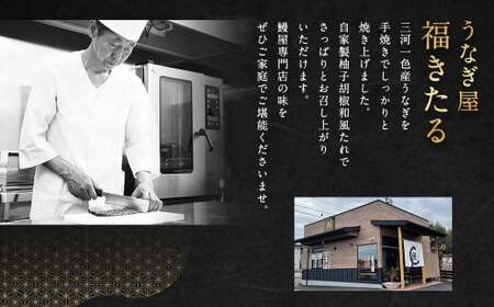 三河一色産 うなぎ蒲焼き 大10尾 タレ付き セット 簡単調理 冷凍