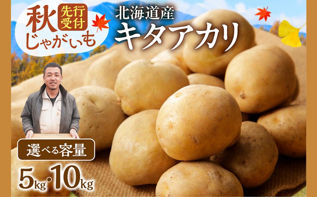 
            先行受付【選べる内容量！】ホクホク！しっとりなめらか！ 北海道産 キタアカリ いも じゃがいも きたあかり 約5kg じゃがいも いも 芋 産地直送 秋_S041
          