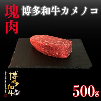 
博多和牛カメノコ　塊肉　500g(冷凍便)【1425050】
