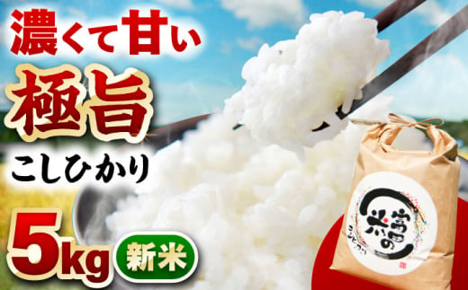 【1月発送】恵那岩村とみだコシヒカリ精米5kg / こめ コメ 米 おコメ お米 おこめ 精米 せいまい コシヒカリ こしひかり 新米 しんまい 5kg / 恵那市 / 山丸屋商店 [AUDA001]