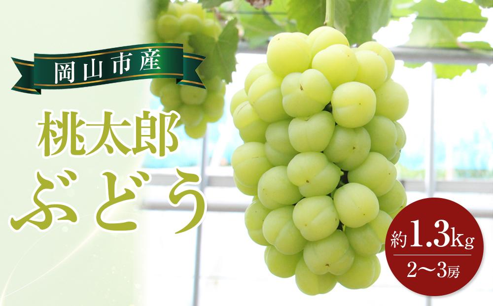ぶどう 2026年 桃太郎 ぶどう 約1.3kg 2～3房 ブドウ 葡萄  岡山市産 国産 フルーツ 果物 ギフト