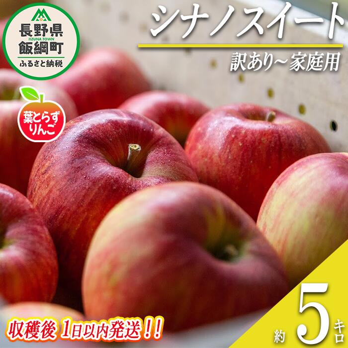 【ふるさと納税】 りんご 葉とらず シナノスイート 訳あり 〜 家庭用 5kg 採れたてを発送 フレッシュフルーツミカズキ 沖縄県への配送不可 令和7年度収穫分 長野県 飯綱町 〔 傷 不揃い リンゴ 果物 フルーツ 19000円 予約 農家直送 〕発送時期：2025年10月中旬頃〜{*}