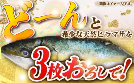 壱岐島産天然ヒラマサ（４キロ台・三枚おろし） [JBS077]
