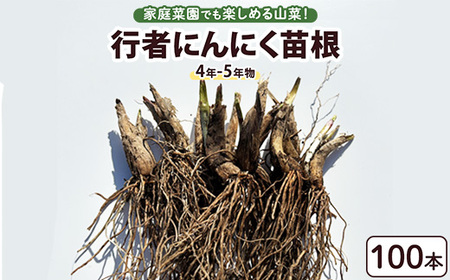 行者にんにく 苗根 100本（4年～5年物） ｜ にんにく ニンニク ガーリック 家庭菜園 栽培 野菜苗 野菜 薬味 料理 産地直送 那須 栃木県 那須町〔E-56〕