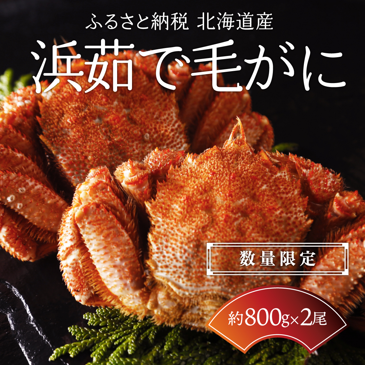 【数量限定】北海道産 毛ガニ 浜茹で毛ガニ【約800g×2尾セット】 ABC029