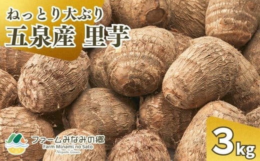 
                   【令和8年産先行予約】 五泉産 大玉さといも 3㎏（2L以上） 新潟県 五泉市 ファームみなみの郷　
                