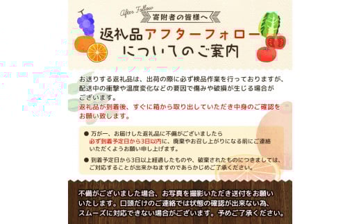 【農家直送】有田みかん 約10kg 大玉3L以上 有機質肥料100% 2025年12月初旬～1月中旬に順次発送(お届け日指定不可)【nuk139E】