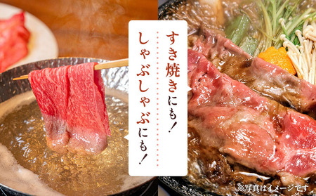 牛肉 くまもとあか牛 肩ロース すき焼 ・ しゃぶしゃぶ用 約500g×1パック 