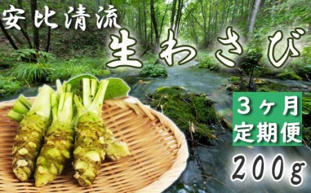  生わさび200g定期便3ヶ月【安比清流山葵園】 ／ 山葵 ワサビ 薬味 新鮮 産地直送