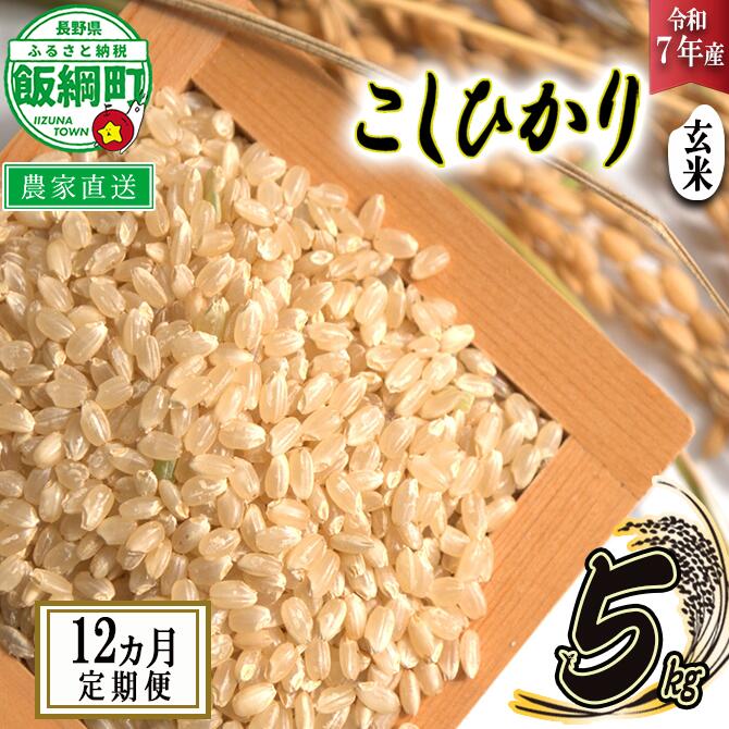 【ふるさと納税】 米 こしひかり ( 玄米 ) 5kg × 12回 【 12か月 定期便 】( 令和7年産 ) 米澤商店 沖縄県への配送不可 長野県 飯綱町 【 コシヒカリ 玄米 お米 信州 】発送時期：2025年10月上旬〜 [お届け12回 (**)]