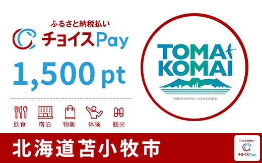 
            苫小牧市チョイスPay 1,500pt【会員限定のお礼の品】
          