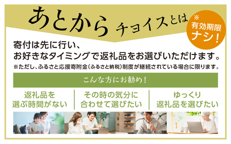 ＼あとから選べる ／オンラインカタログ あとからチョイス 400万円 4000000円 有効期限なし 後から選べる 飛騨牛 結旨豚 肉 総菜 スイーツ 工芸品 お米 特産品 宿泊 食事券 体験 チケッ