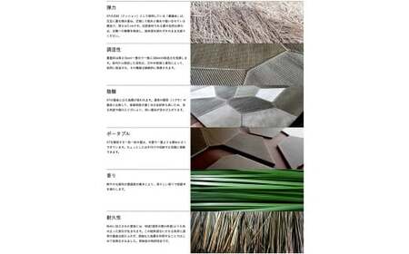伝統素材デザイン畳　ＸＴヴォロノイ3.0