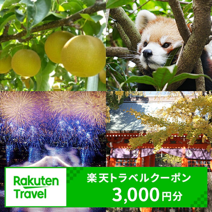 【ふるさと納税】千葉県市川市の対象施設で使える楽天トラベルクーポン 寄附額10,000円
