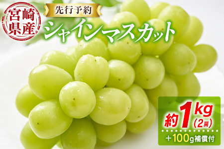 ＜先行予約＞シャインマスカット 2房 約1kg+100g補償付 ※2026年8月下旬～【B606-26】