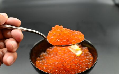 オホーツク美味海鮮丼セット(ホタテ・イクラ) ABAO2210 | ホタテ イクラ