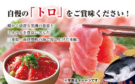 先行予約 マグロ 詰め合わせ 300g 本まぐろ 本鮪 刺身 刺し身 マグロ丼 海鮮丼 大トロ 中トロ トロ 赤身 国産 養殖 みえまぐろ 三重 南伊勢町 伊勢 志摩