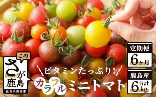 【先行予約】 カラフルミニトマト 『Ricotomato』 【1kg×6回定期便】 【2024年12月から出荷】 H-11