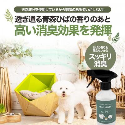 ふるさと納税 川崎市 川崎そだち　青森ひばの杜　MASHUU For PET 300ml