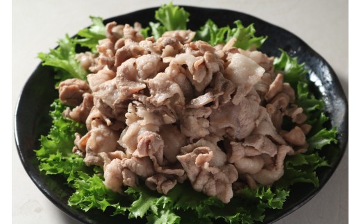 【農林水産大臣賞受賞】 京都府産 京丹波高原豚 豚肉 こま切れ 1kg (500g×2袋) 高級 ブランド ブランド豚 三元豚 豚 肉 霜降り 豚こま 豚こま切れ 小分け 冷凍 細切れ 切り落とし しゃぶしゃぶ 豚丼 豚しゃぶ 焼き肉 焼肉 バーベキュー BBQ 贈答 ギフト 京都 南丹市 10000円 以下