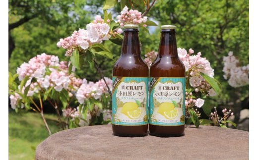 
小田原レモンクラフトチューハイ　12本セット
