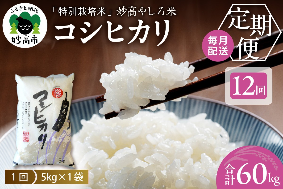 
                  【先行予約】 令和8年産 【12ヵ月定期便】 新潟県 妙高やしろ米 コシヒカリ60kg (5㎏×12回) 【11月中旬より発送】 定期便 お米 米 コメ 精米 新潟 妙高市 米どころ こめ ご飯 ごはん ライス 弁当
                
